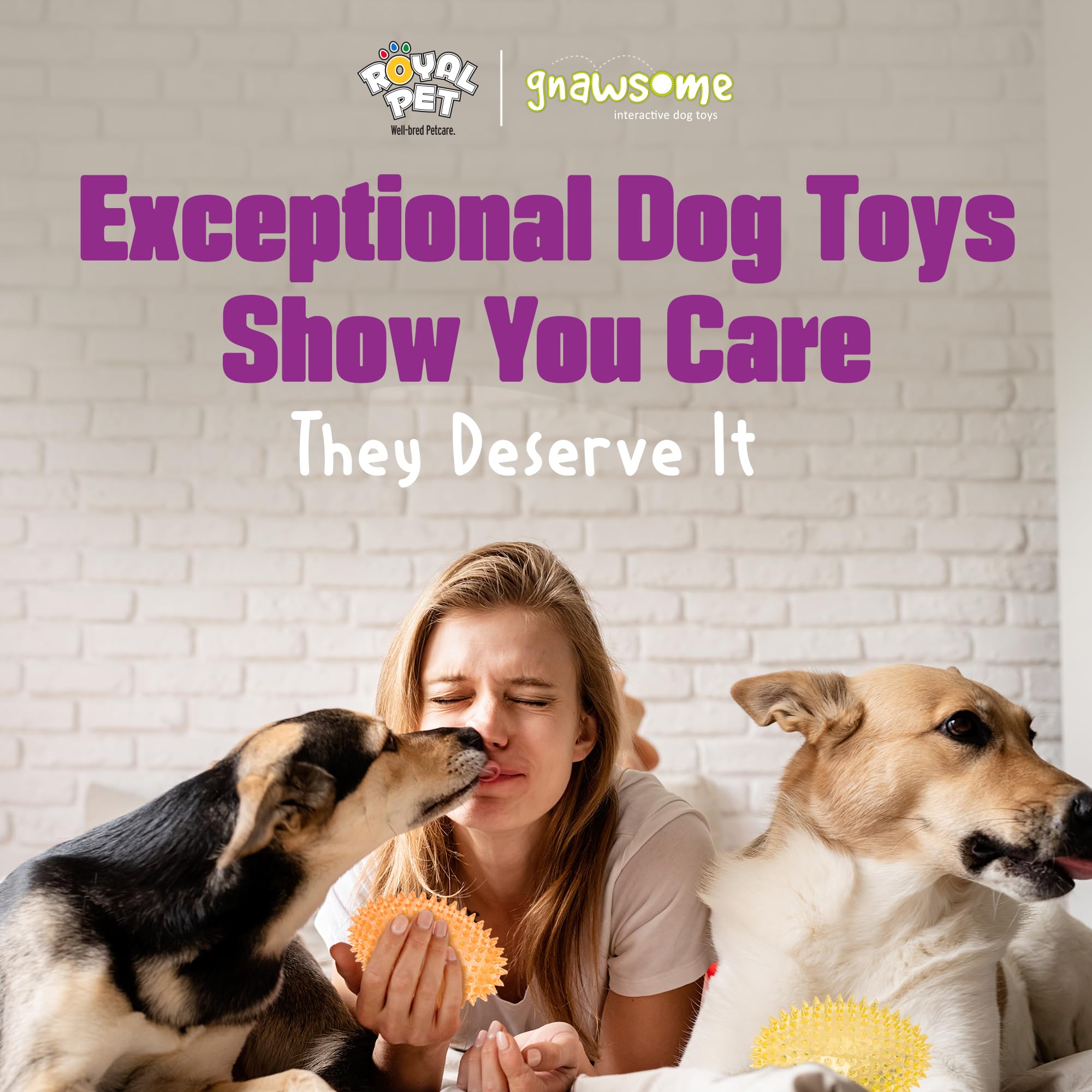 Gnawsome juego exterior interior para perros en casa y al aire libre.