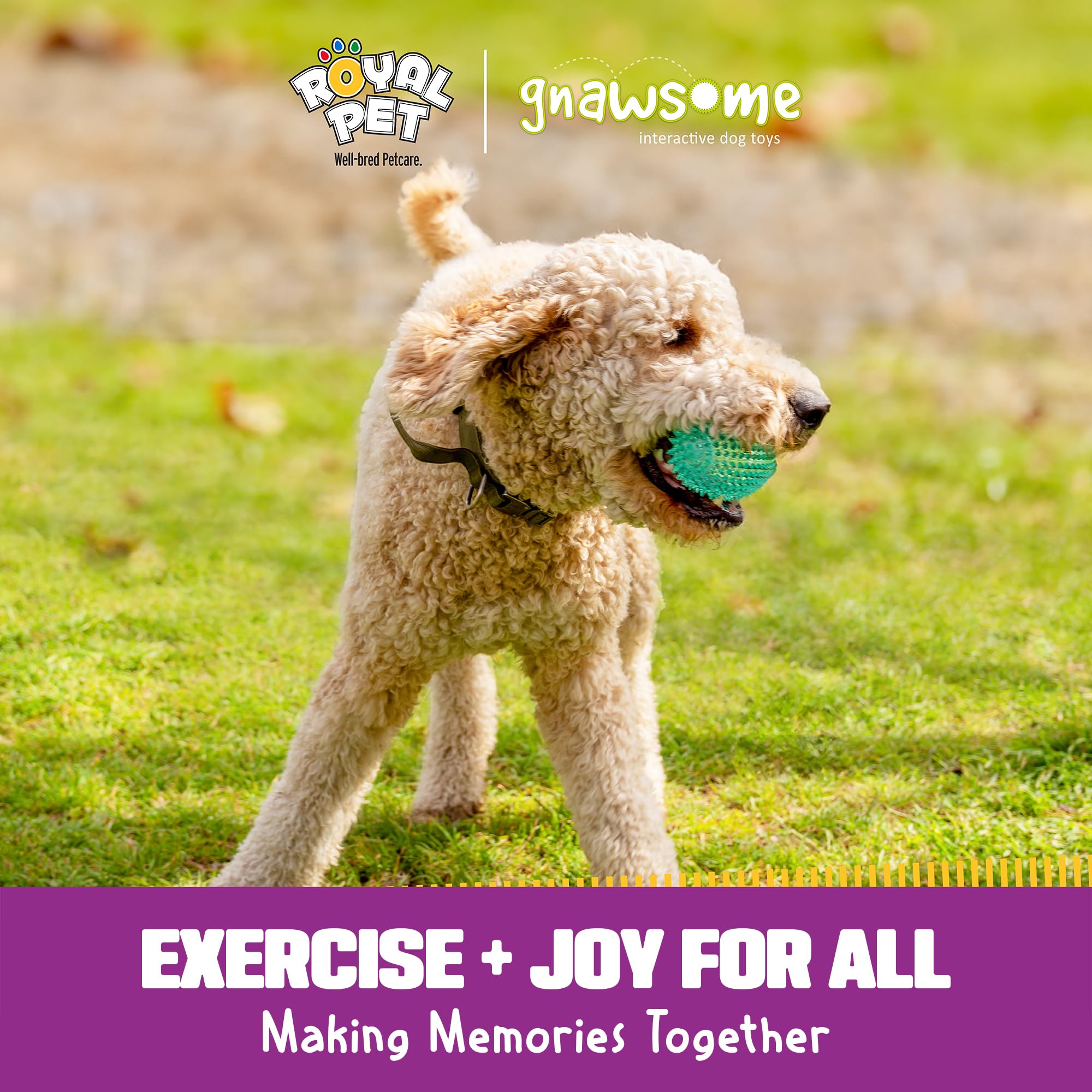 Gnawsome juguete dental para perros, ideal para juego activo.