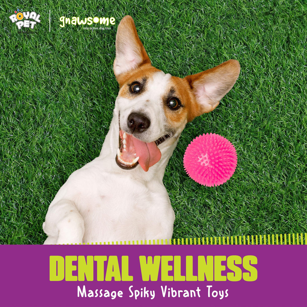Gnawsome Tamaño extra grande ideal para perros grandes.