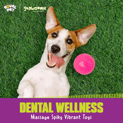 Gnawsome Tamaño extra grande ideal para perros grandes.