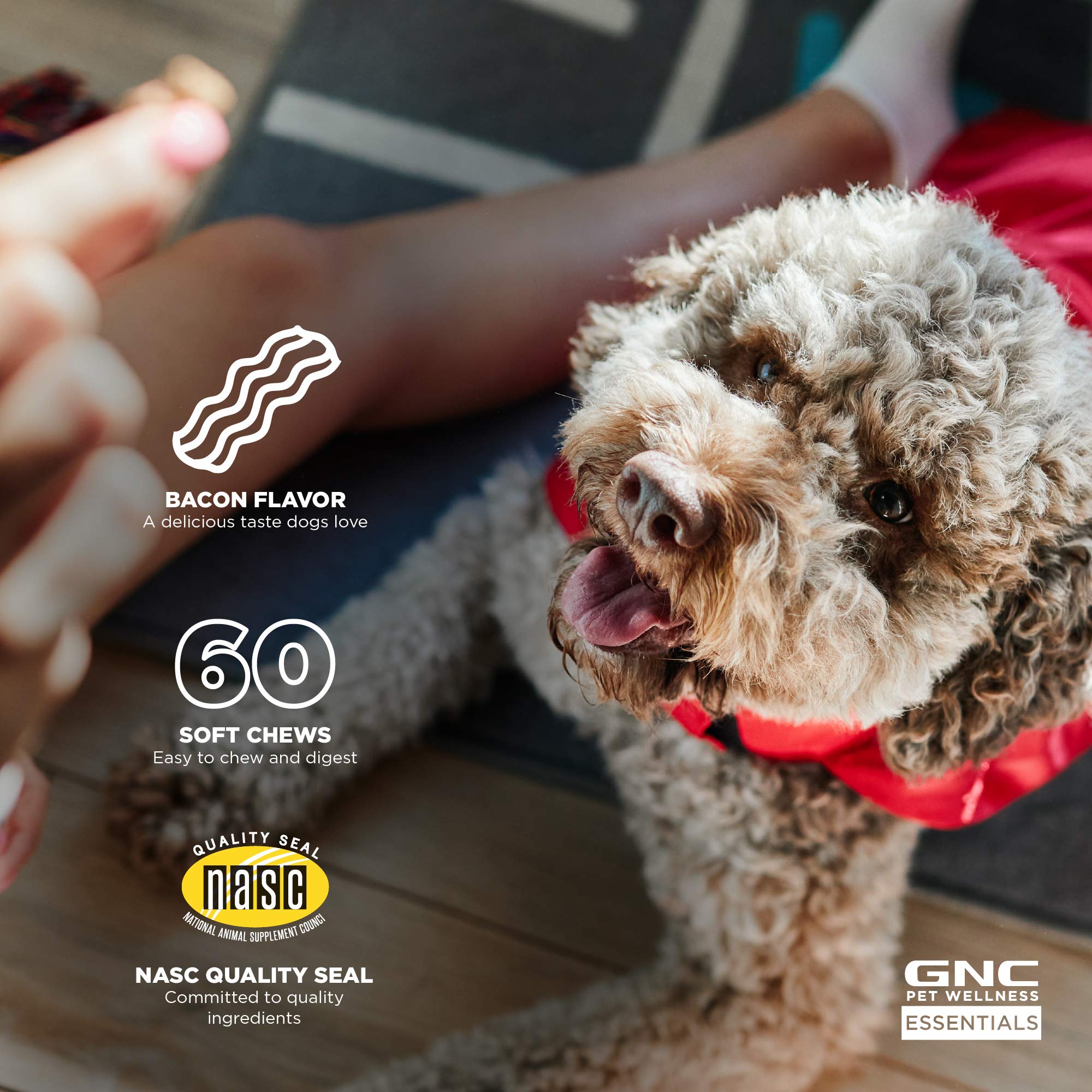 Perro masticando GNC Pets Essentials para ayudar a la calma en casa