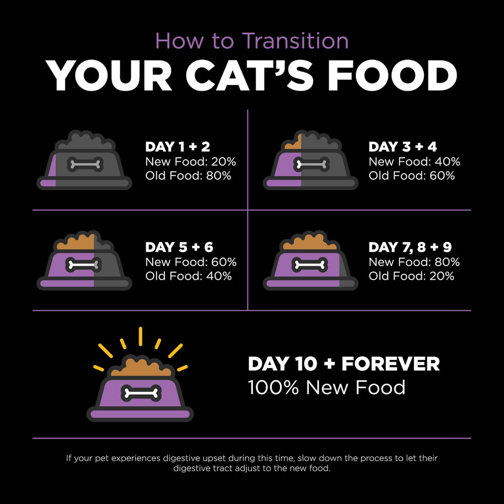 Go! Solutions Carnivore proteína alta para músculos fuertes y actividad felina