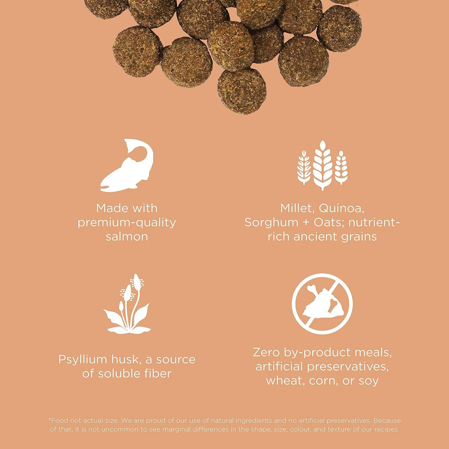 Go! Solutions Digestión integra probióticos y prebióticos para la microbiota intestinal.