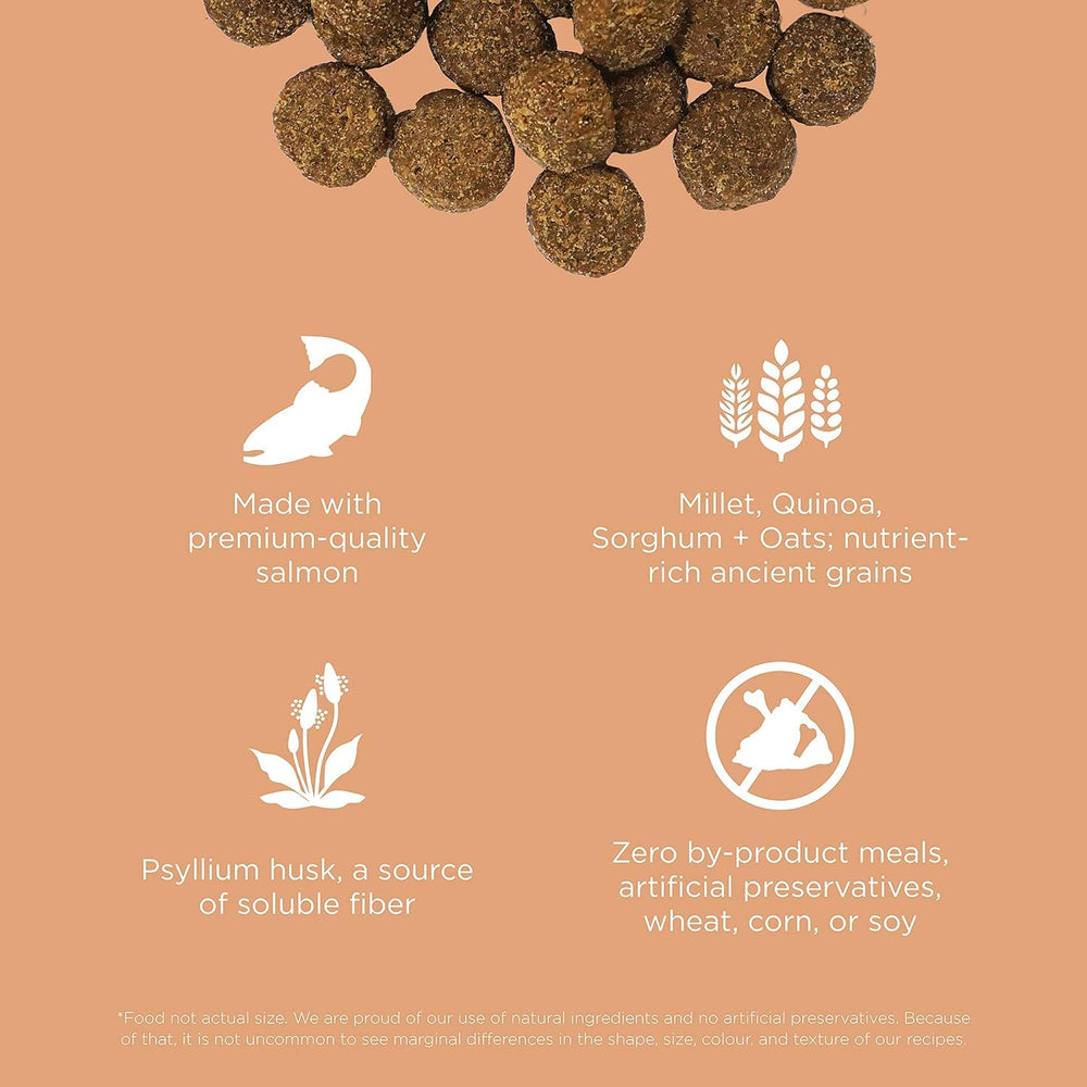 Go! Solutions Digestión integra probióticos y prebióticos para la microbiota intestinal.