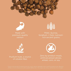 Go! Solutions Digestion Salmón ingredientes-clave, proteína de salmón como primer ingrediente.