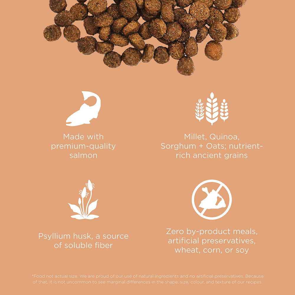 Go! Solutions Digestión salmón seco: croqueta con probióticos para microbioma saludable.
