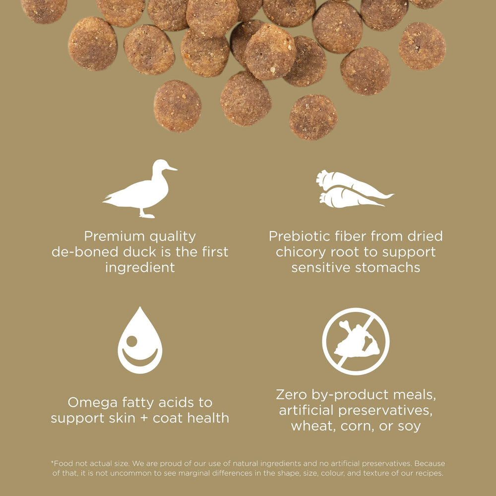 Go! Solutions Sensibilidades, croquetas sin gluten para perros activos.