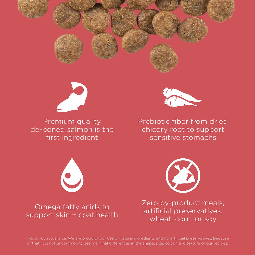 Go! Solutions Sensitivities fibra prebiótica de chicoria para digestión saludable