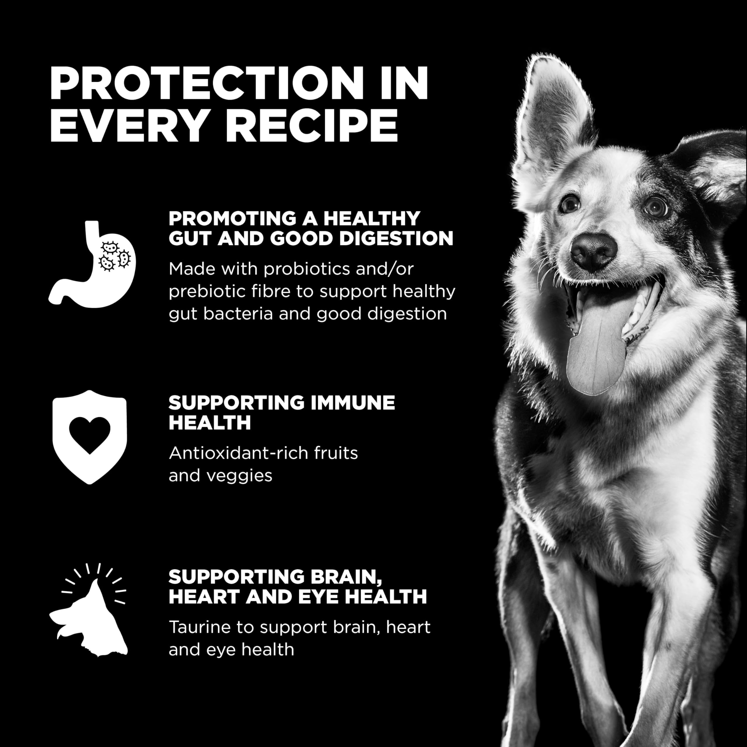 Go! Solutions Sensitivities sin granos ni gluten para perros con intolerancias.