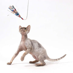 GoCat Da Bird Sparkler accesorios recambio para ampliar el entretenimiento diario.