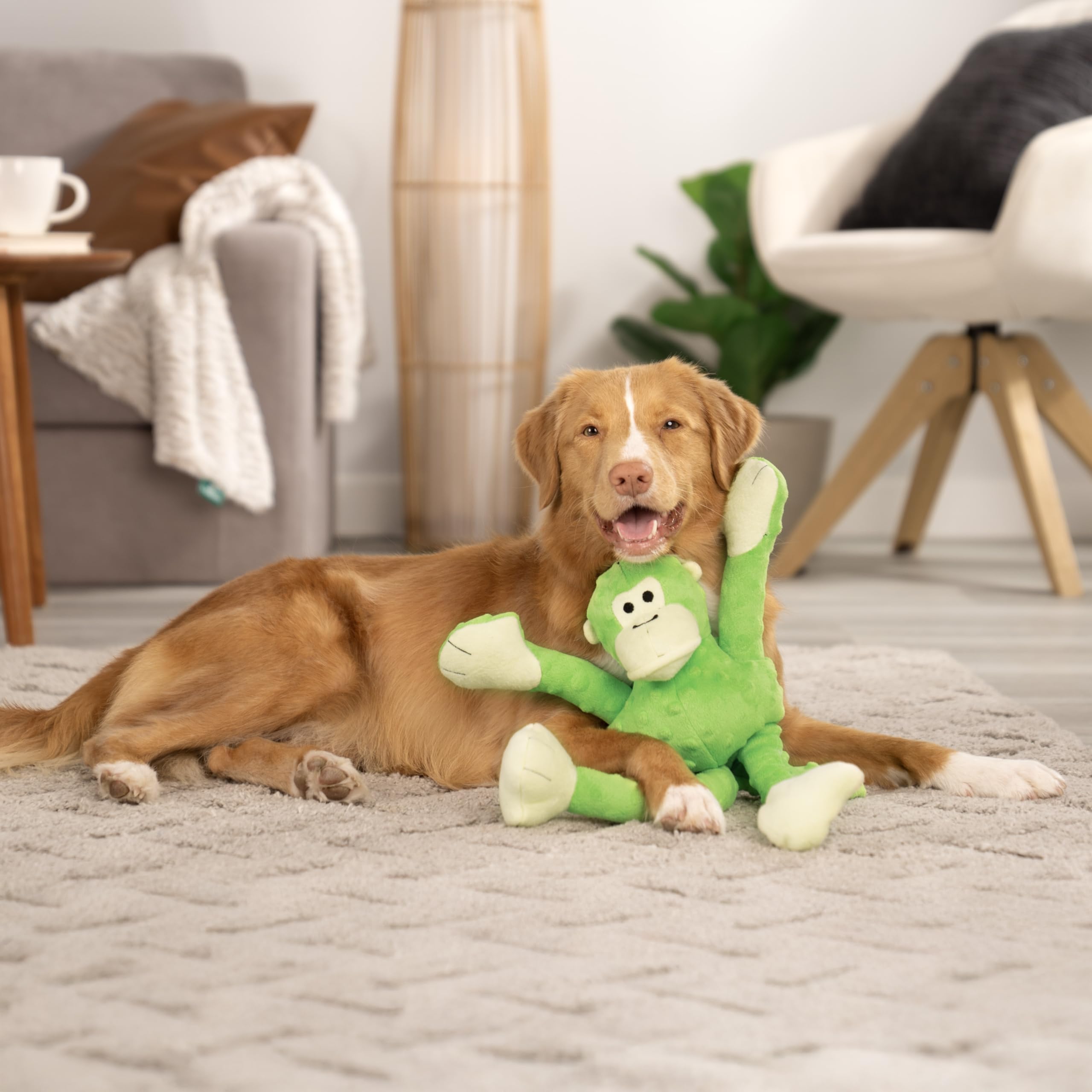goDog Crazy Tugs Monkeys diseño atractivo para perros activos.