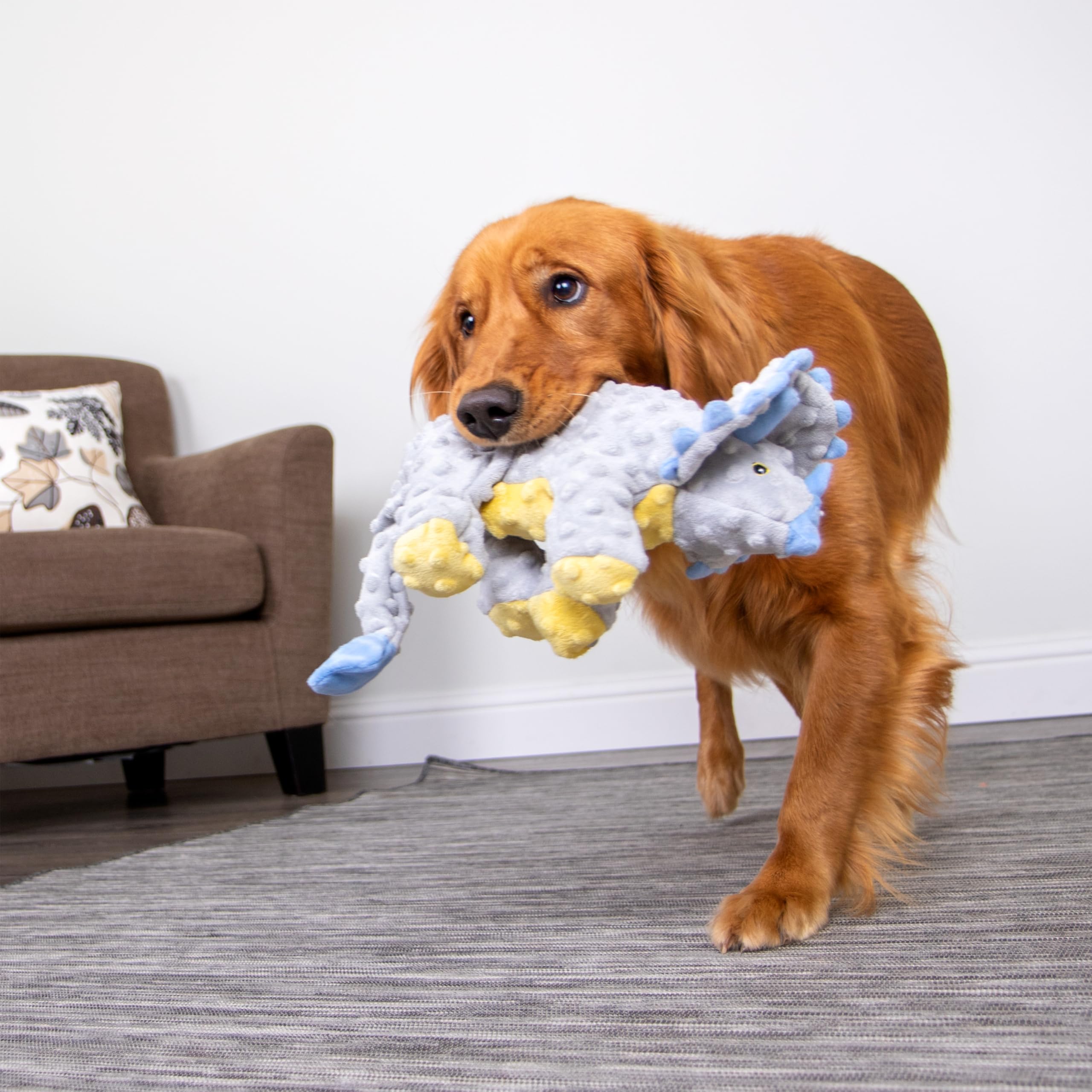 GoDog Dinos Frills seguro para perros activos durante el juego.