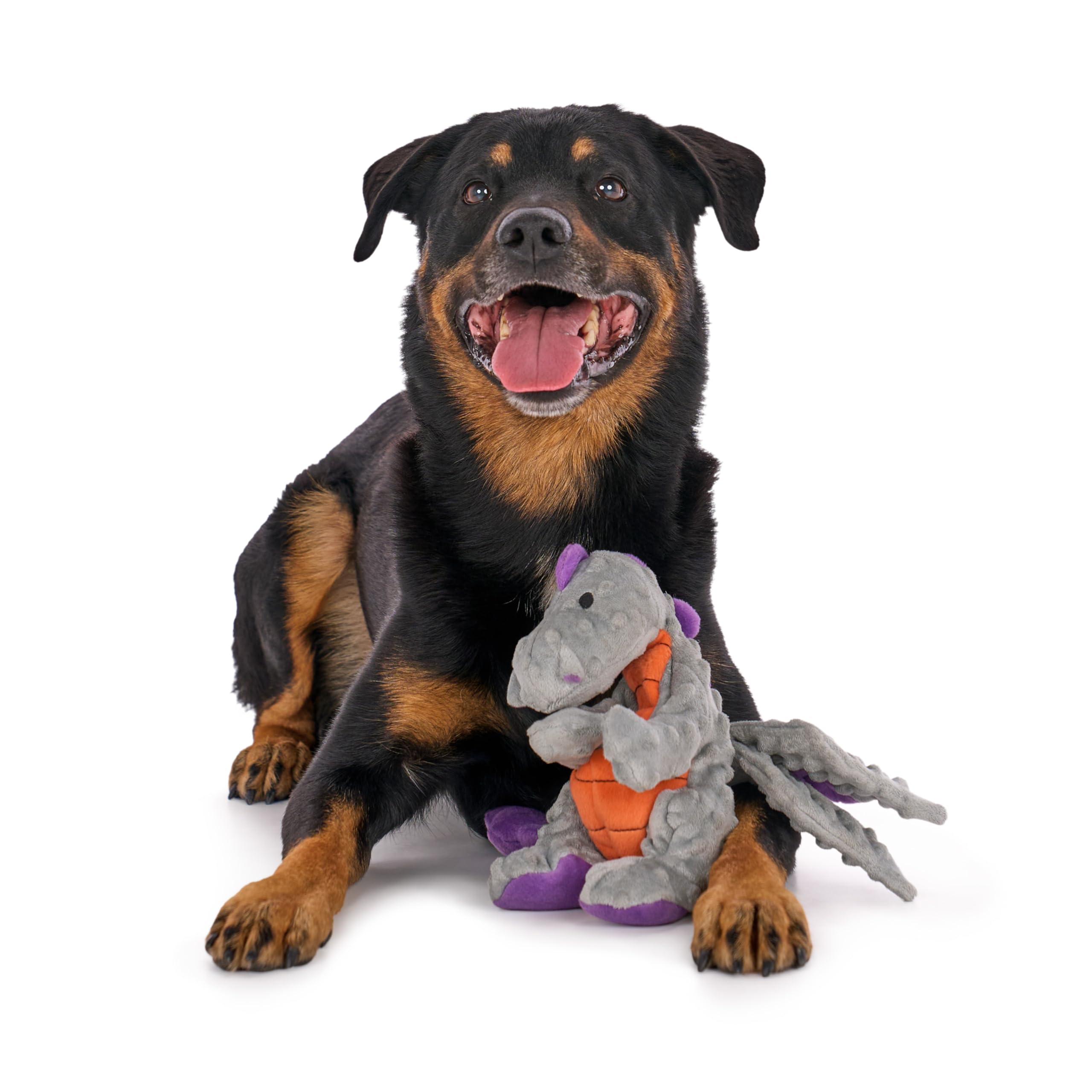 goDog Dragones Juego interactivo para sesiones de juego prolongadas.