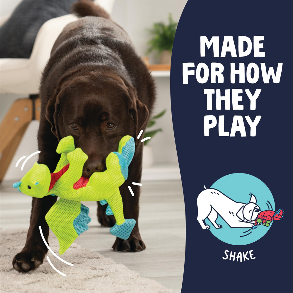 goDog Dragons diseño brillante, perfecto para juegos en casa o al aire libre