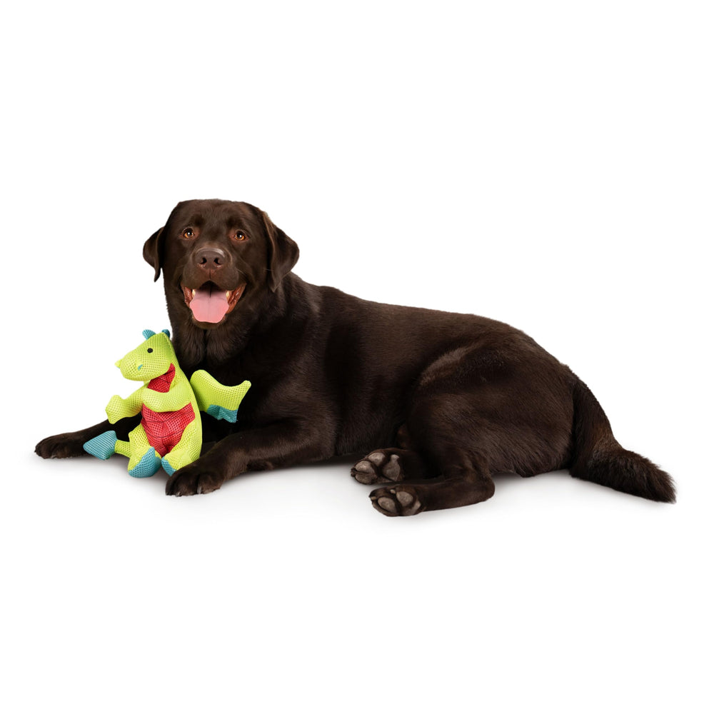goDog Dragons juguete duradero para perros activos