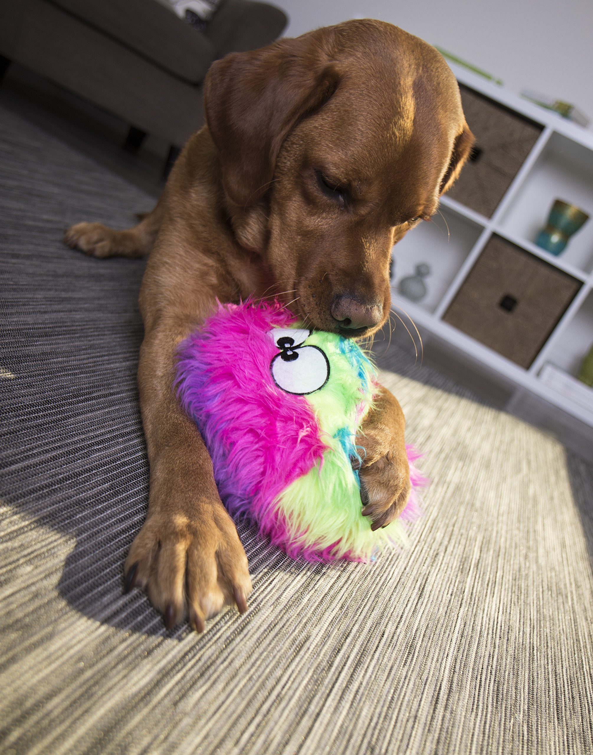 goDog Furballz, juego interactivo para perros curiosos
