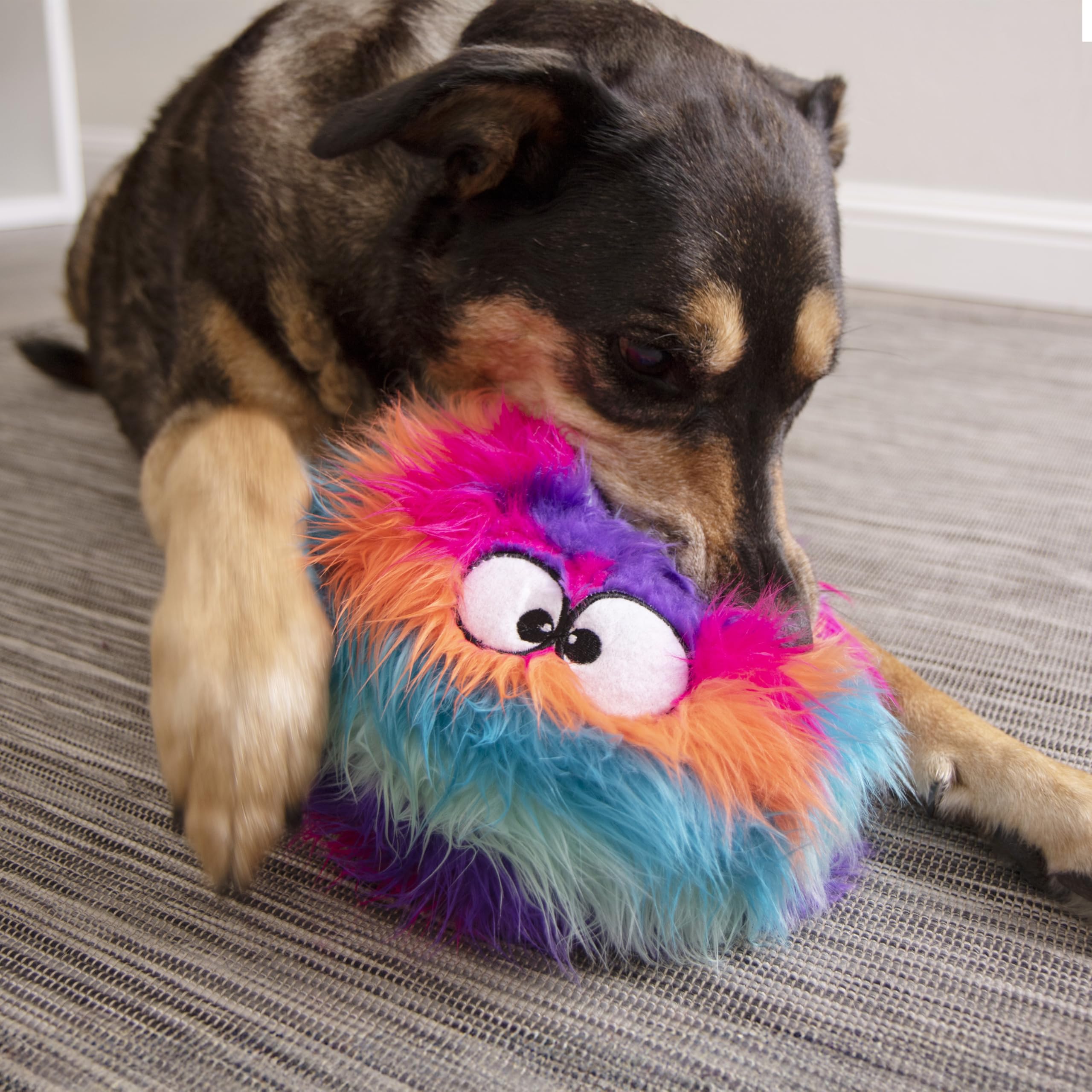 GoDog Furballz: ojos divertidos que captan la atención del perro.