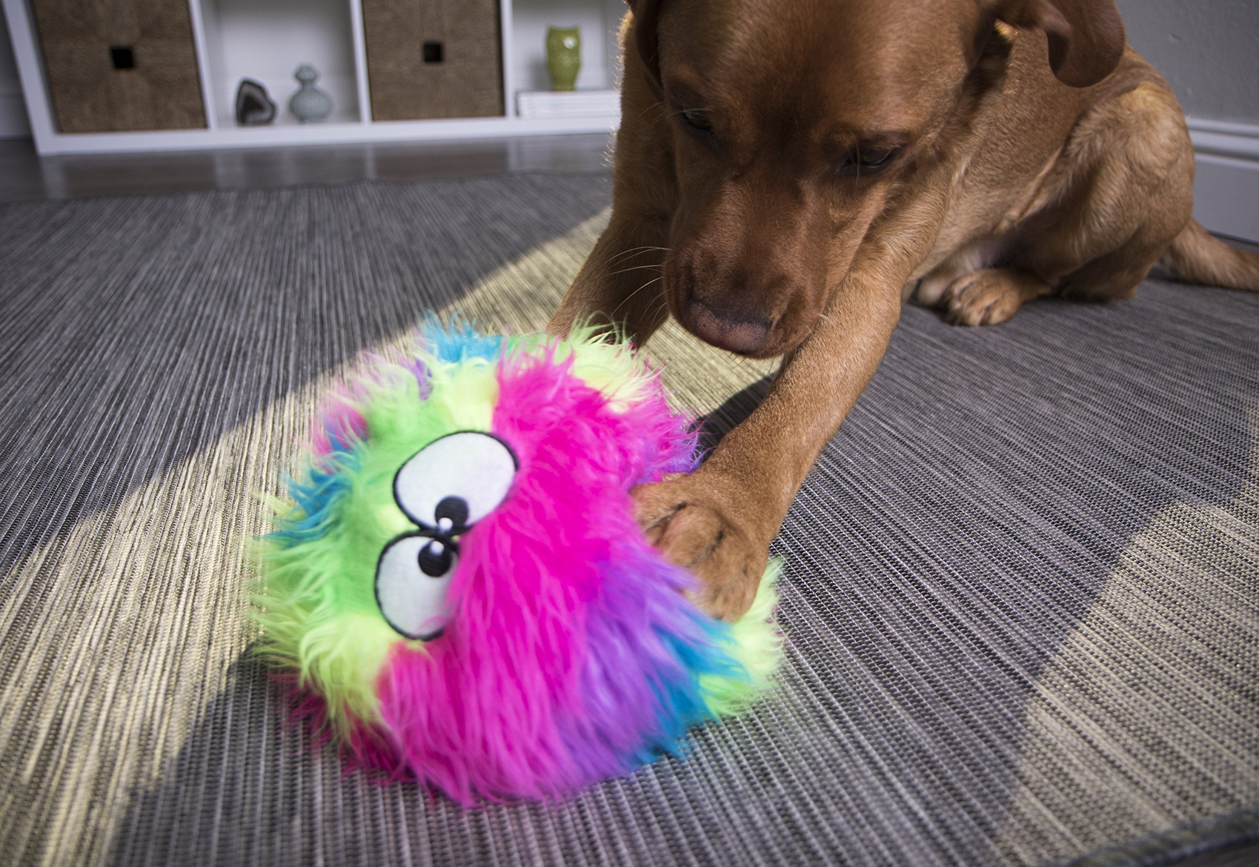 goDog Furballz, uso en interiores y exteriores para diversión