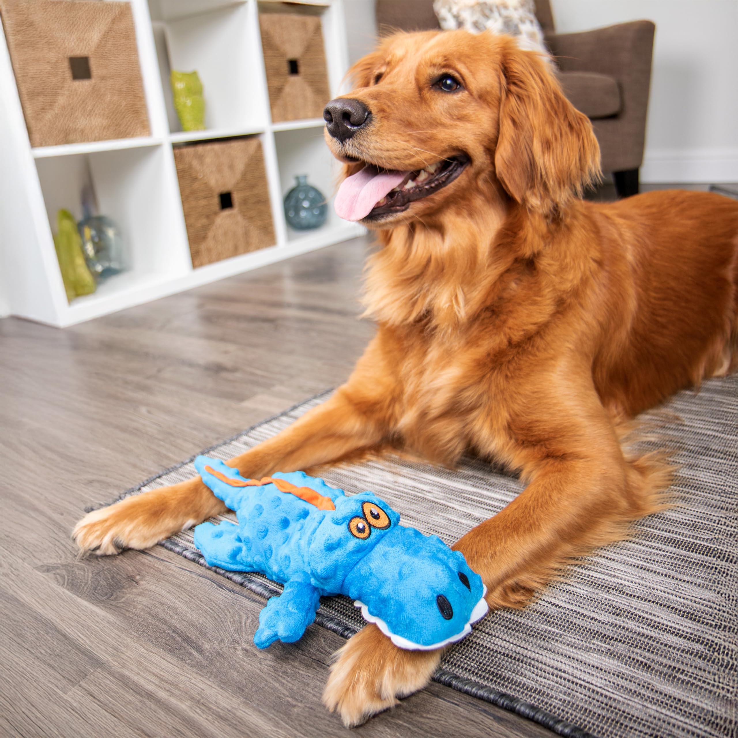 goDog Gators: apto para interiores y exteriores sin perder forma.