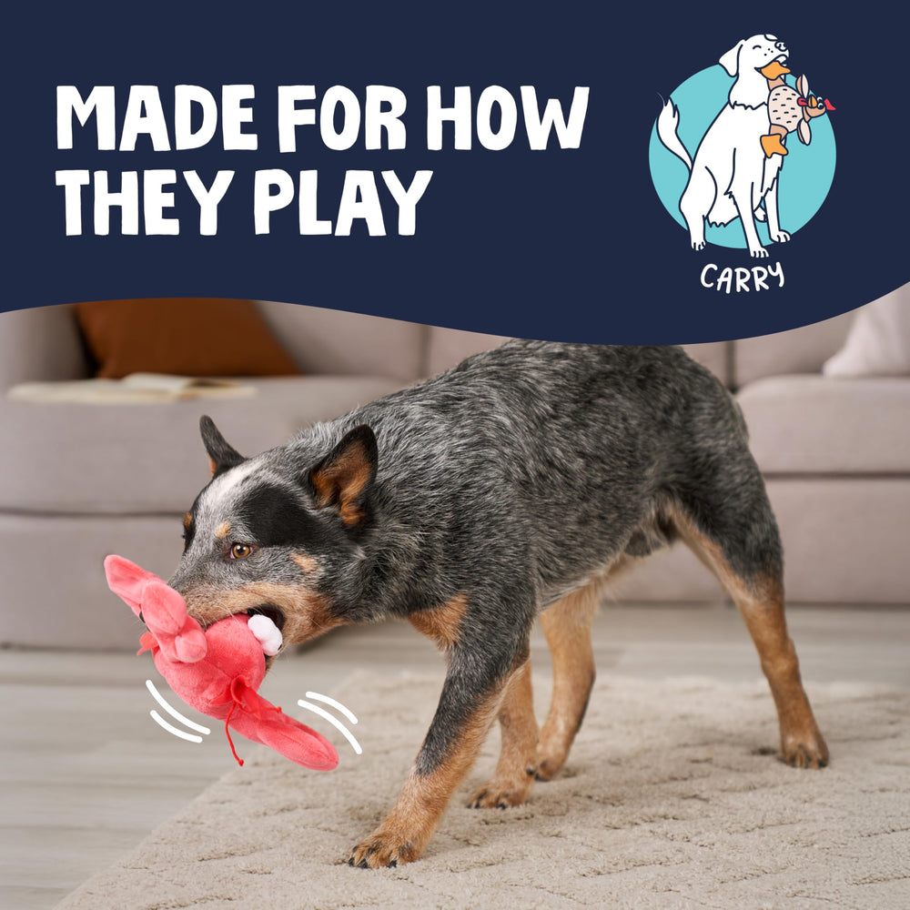 goDog Langosta: diseño para juego activo y momentos de descanso