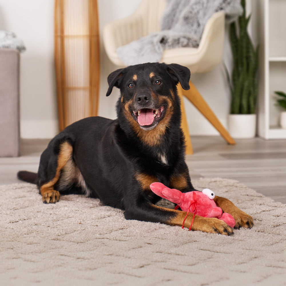 goDog Langosta: fácil de limpiar con paño y secado al aire