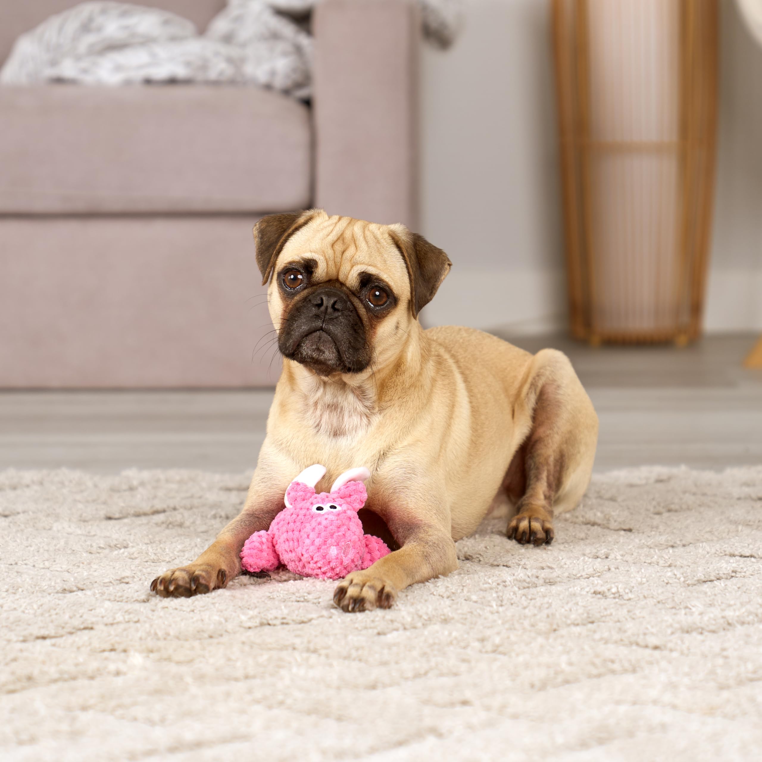 goDog tamaño mini, ideal para perros pequeños y manejo fácil