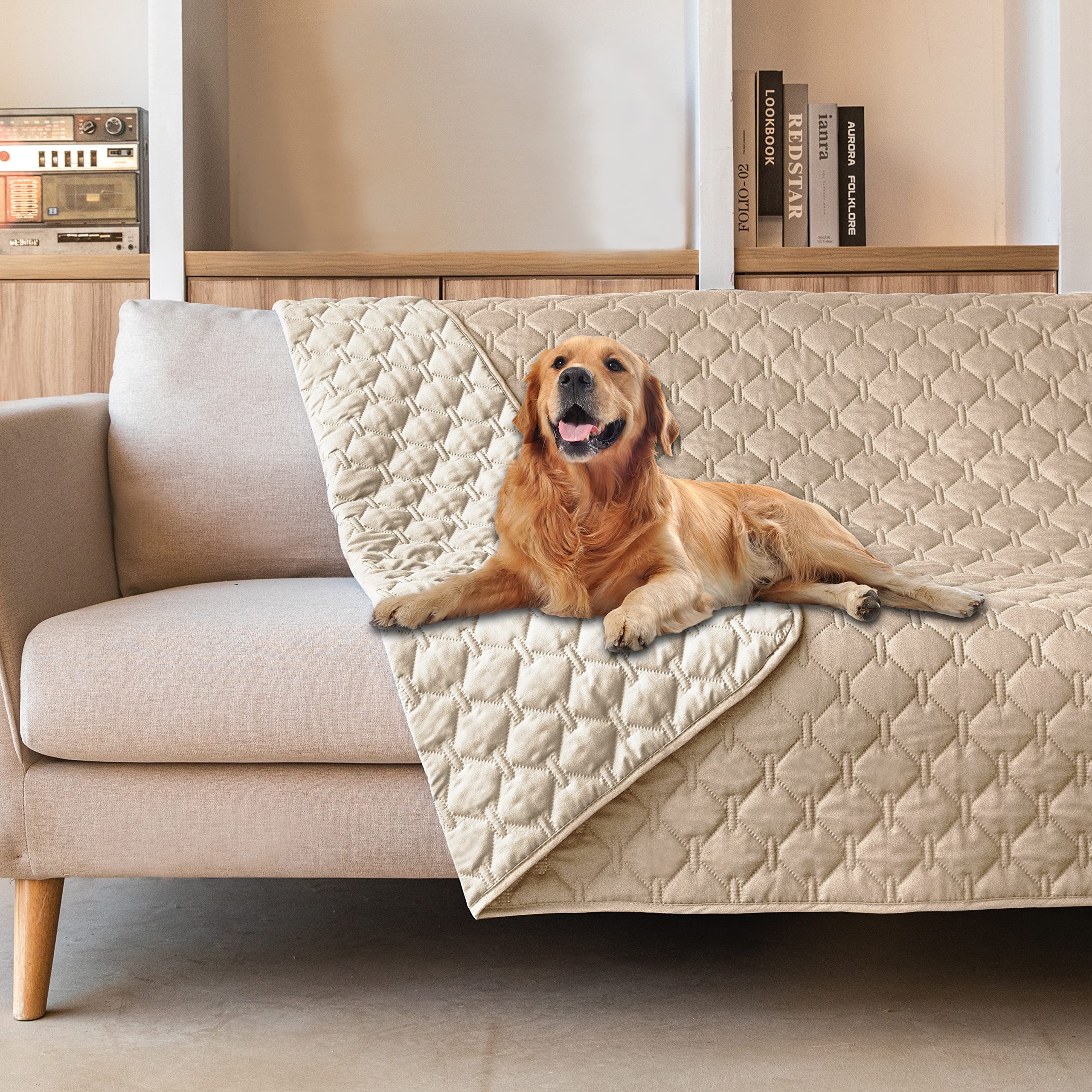 funda impermeable gogobunny para perros, protección de sofá y superficie