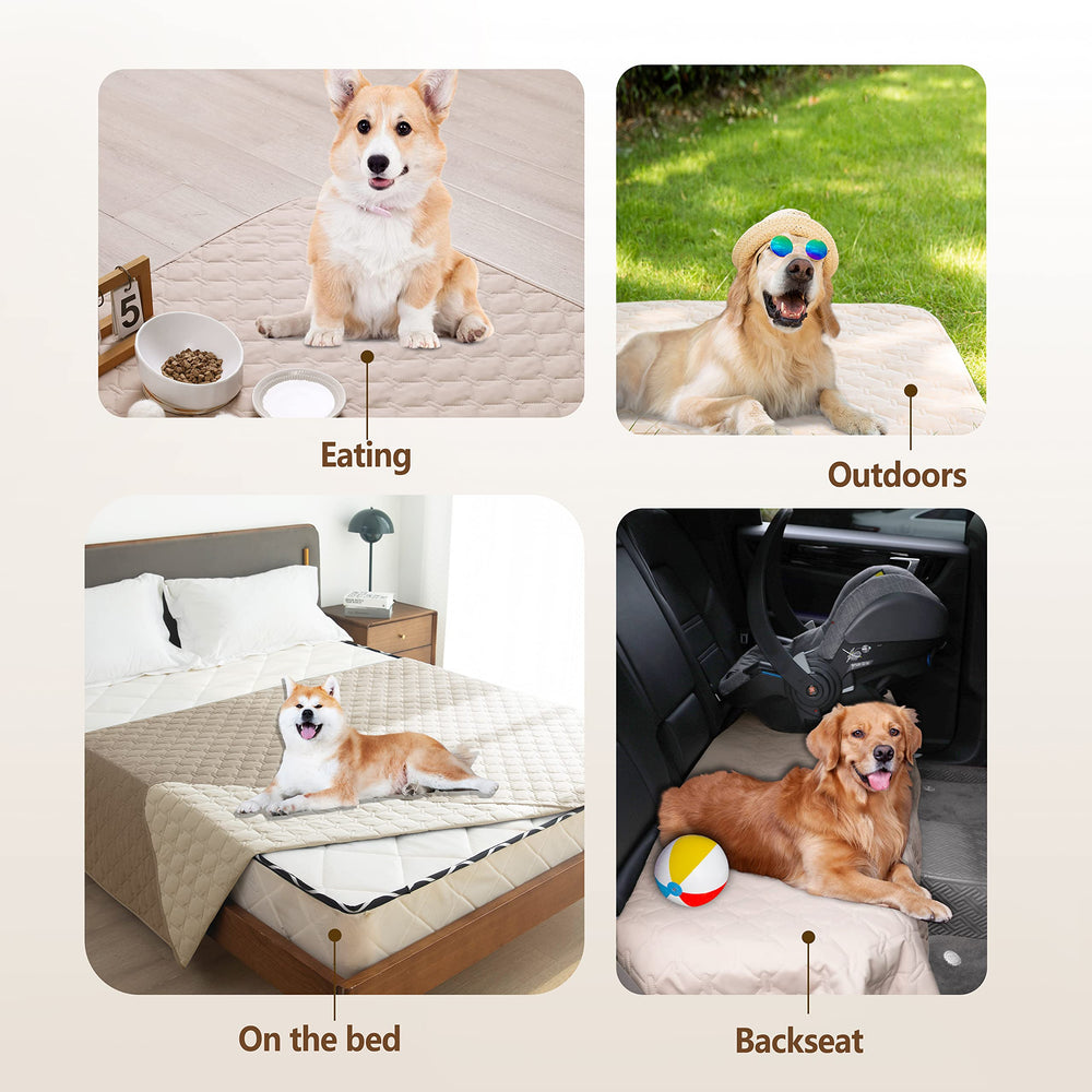 Ideal para cachorros y perros grandes, gogobunny protege tus muebles.