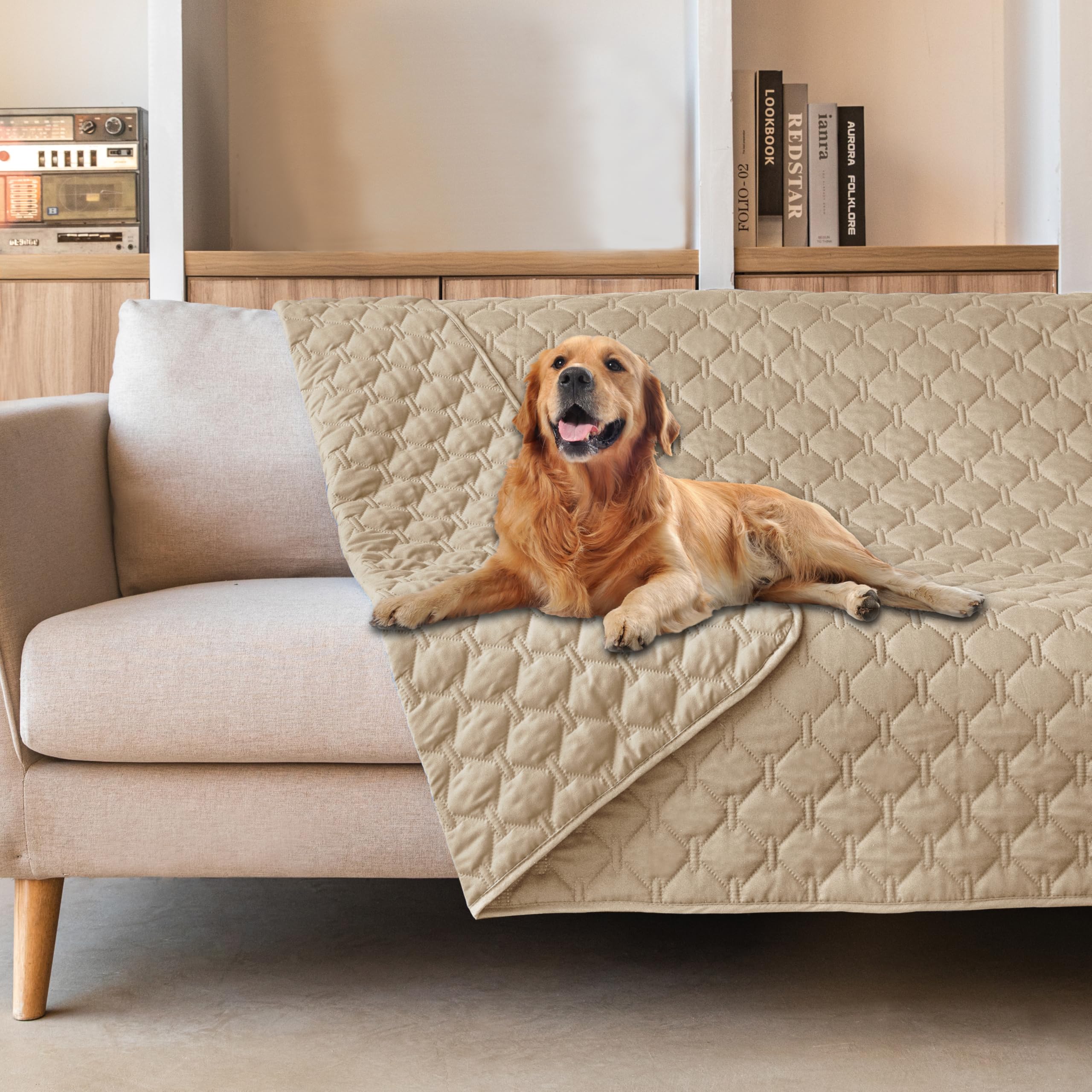 Manta gogobunny impermeable para sillón, protege muebles de rasguños y derrames.