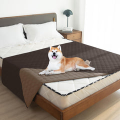 Uso interior y exterior para mascotas con gogobunny