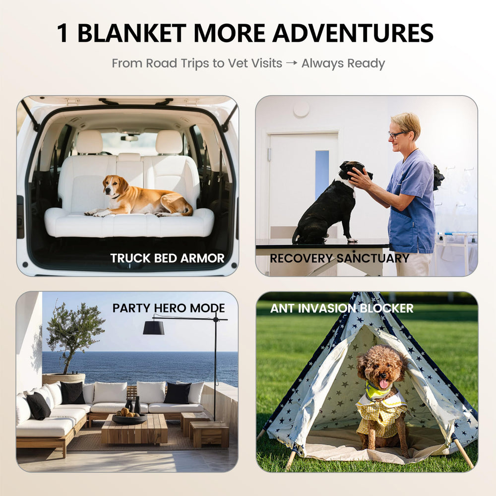 Manta gogobunny 82x102 tacto suave para confort nocturno