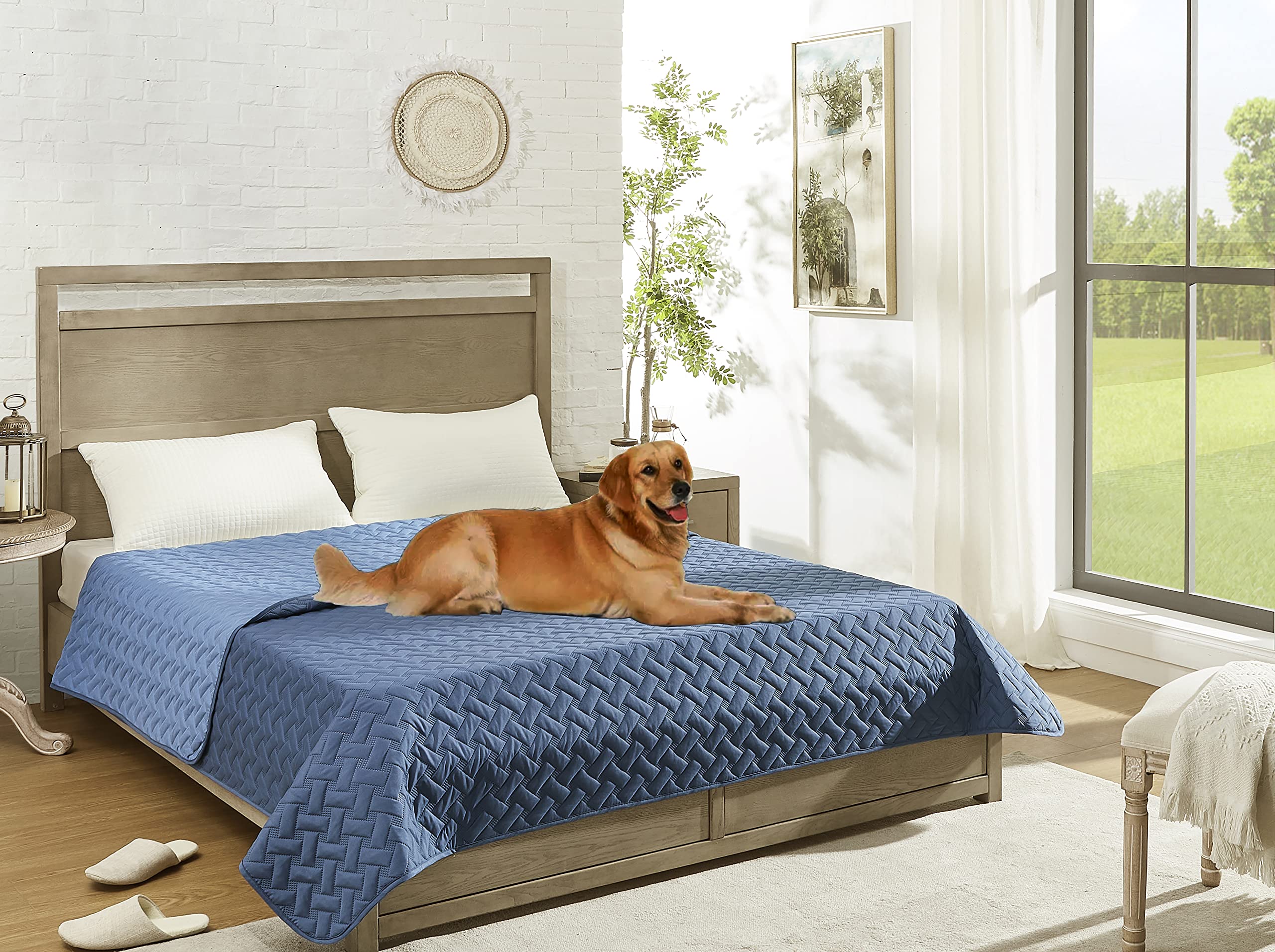 Textura suave gogobunny, uso diario en cama o sillón para mayor confort.