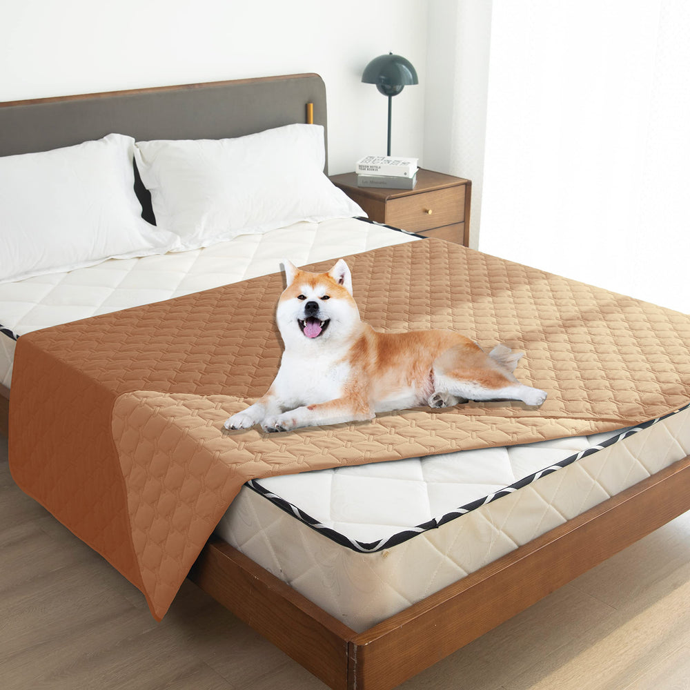 uso doméstico para perros y gatos grandes.