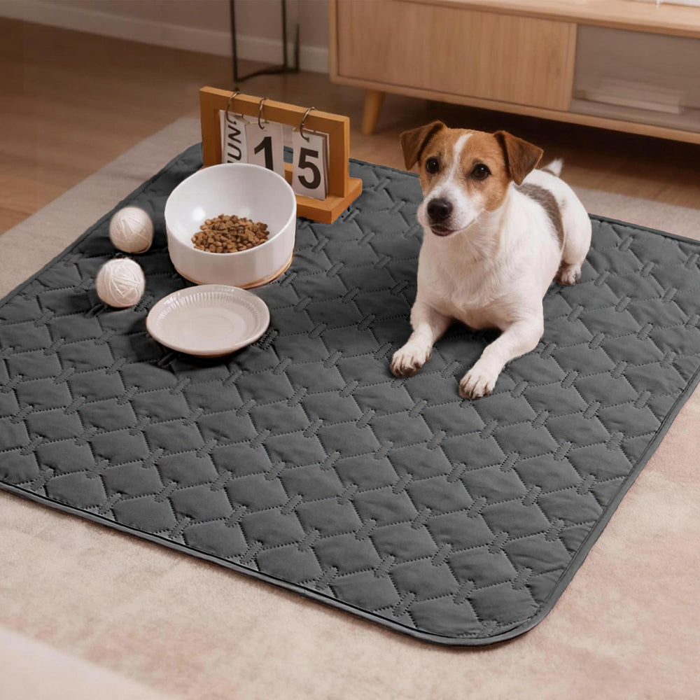 Utilisation intérieure et extérieure, pratique pour voyages et pique-niques.