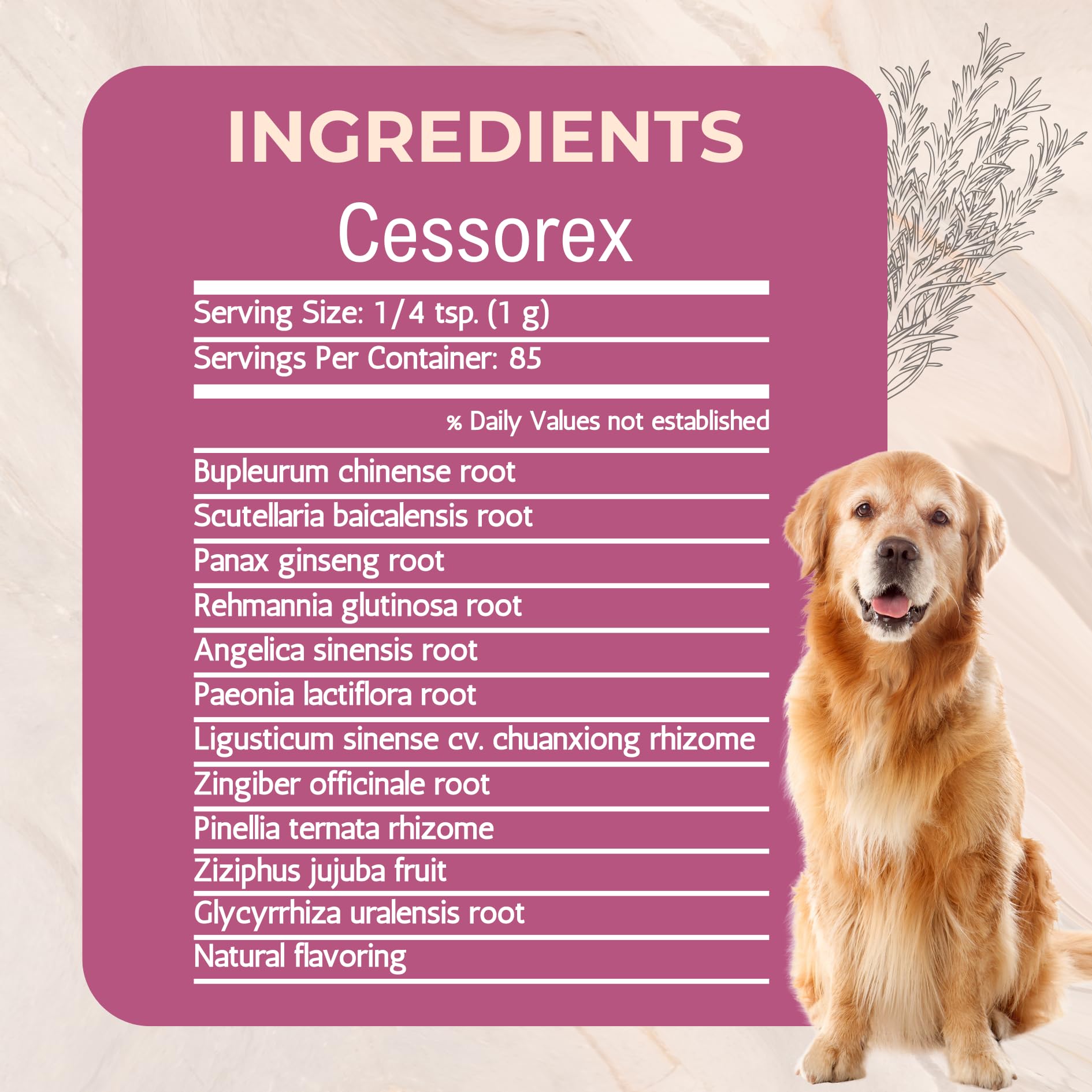 Mezcla de hierbas Cessorex, polvo natural para apoyar la comodidad general del perro.