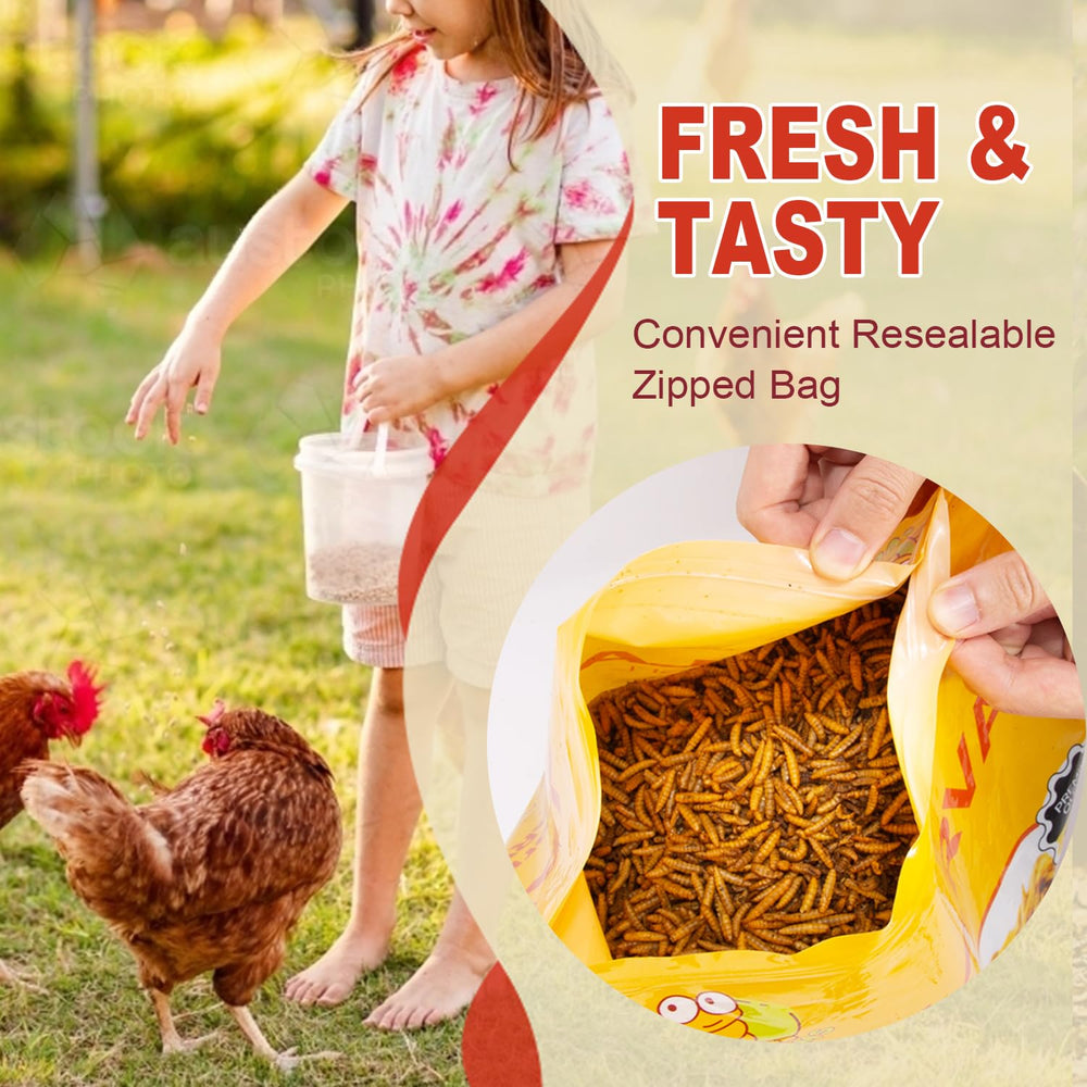 GOLDWORMS enfoque sostenible: alimento proveniente de residuos.