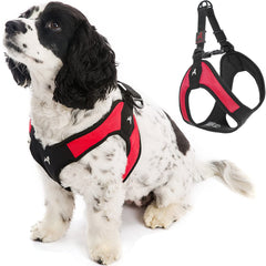 Gooby arnés a prueba de escapes, diseño para paseos más tranquilos.