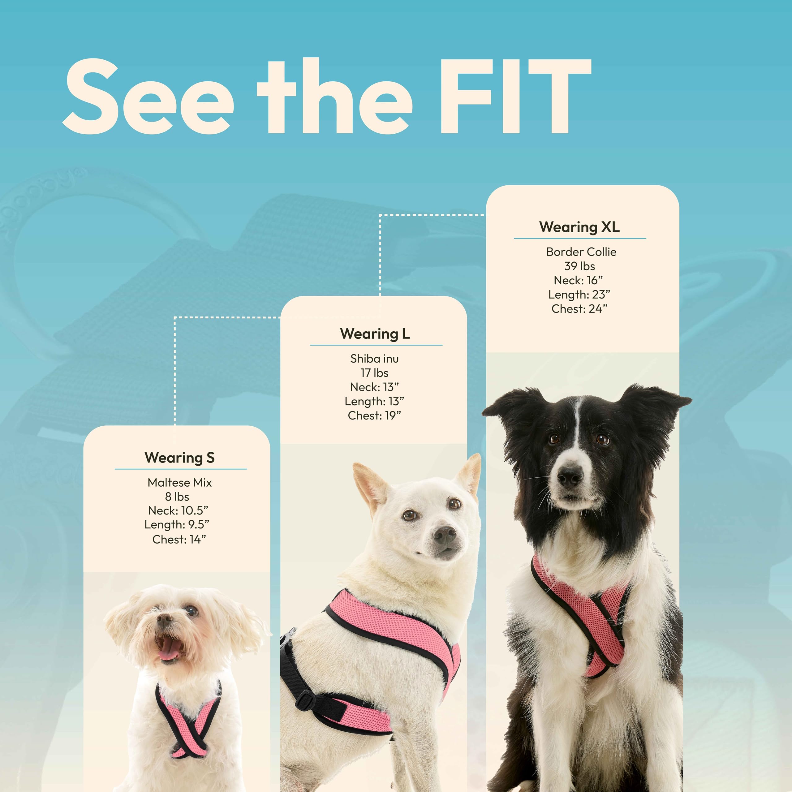 Arnés Gooby Comfort X, diseñado para perros pequeños con cuellos delicados.