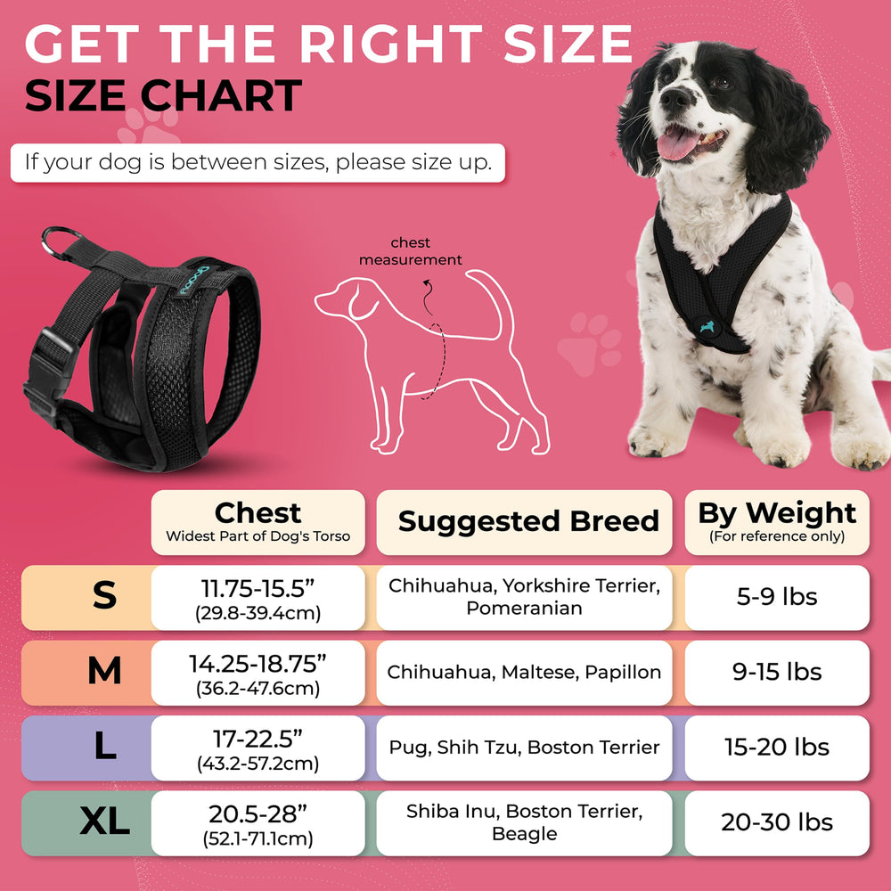 Gooby Comfort X diseño patentado sin estrangulamiento para perros pequeños.