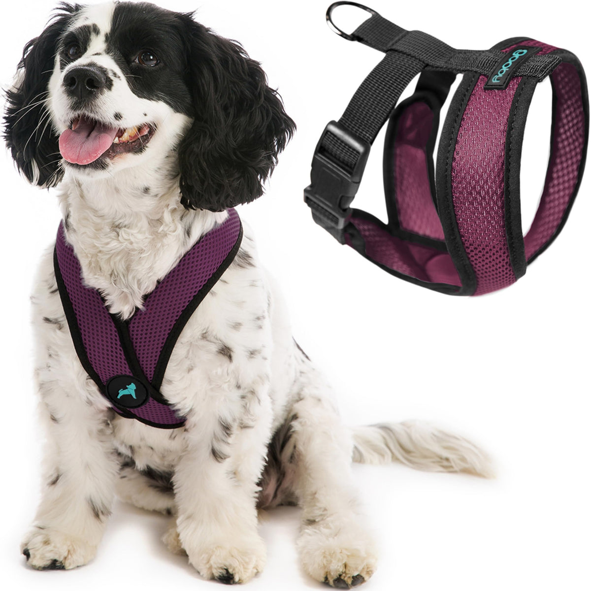 Gooby Comfort X arnés morado sin tirones para paseos diarios