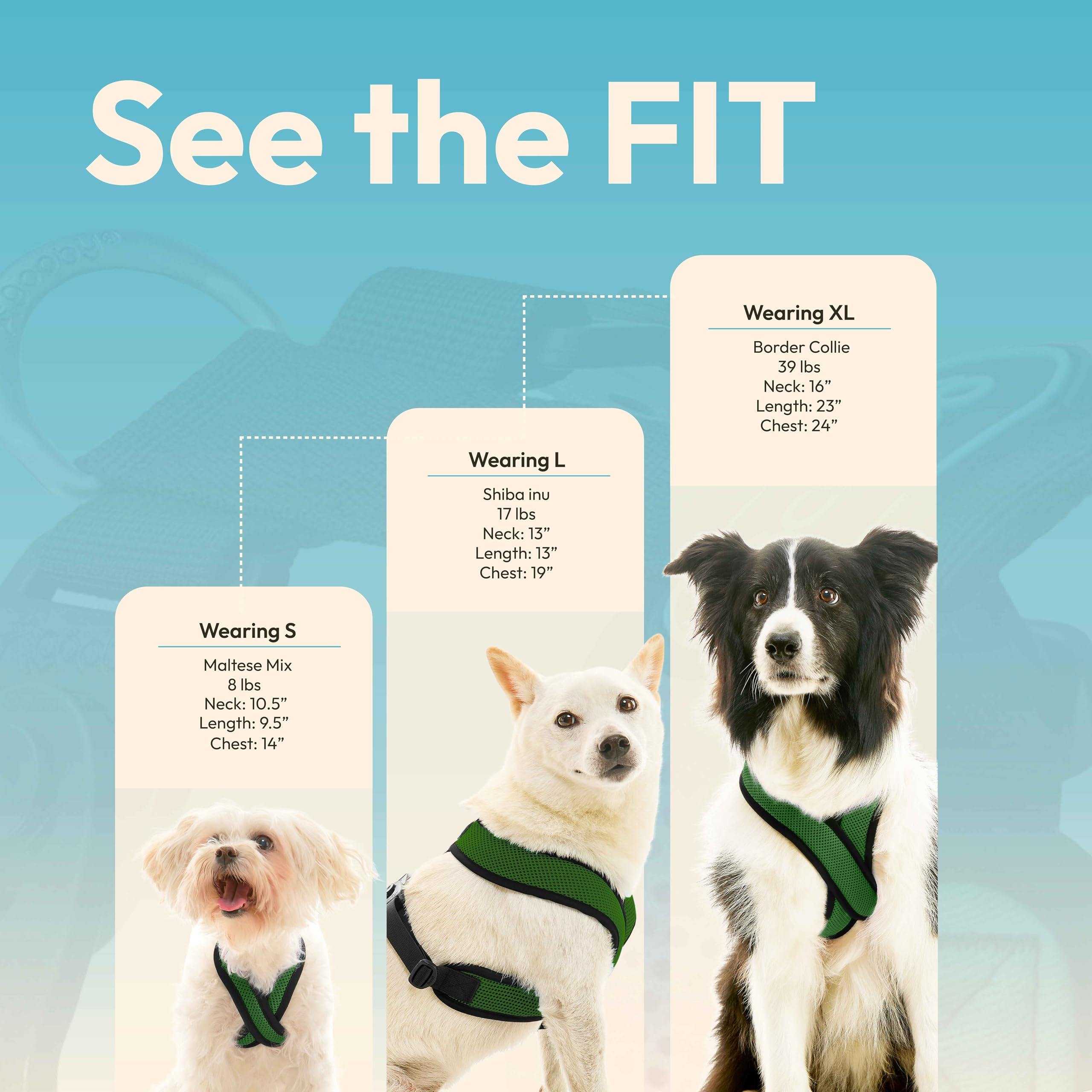 Diseño para perros pequeños Gooby Comfort X, seguridad sin presión en cuello.