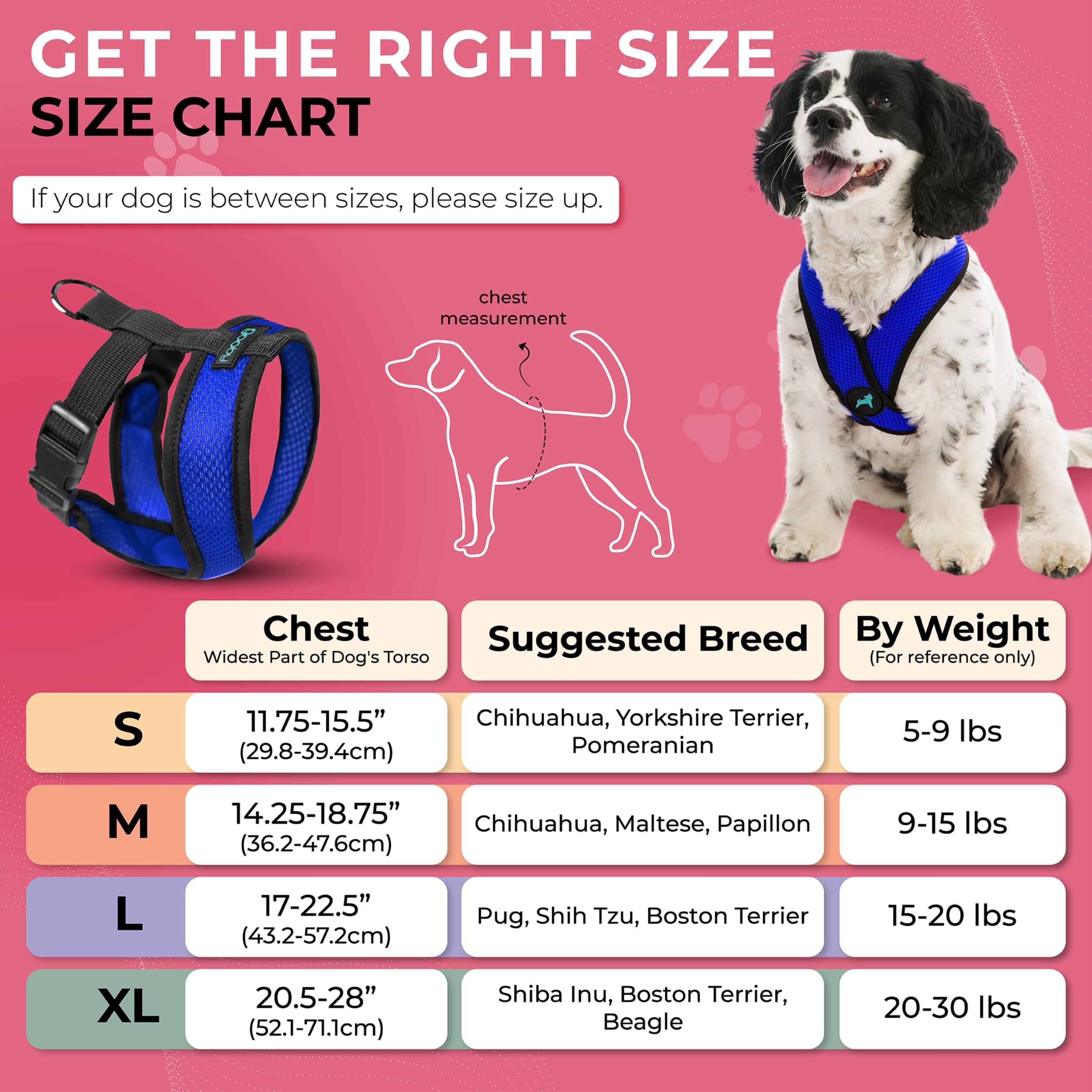 Gooby Comfort X Harness azul, detalle del anillo en D para resistencia.