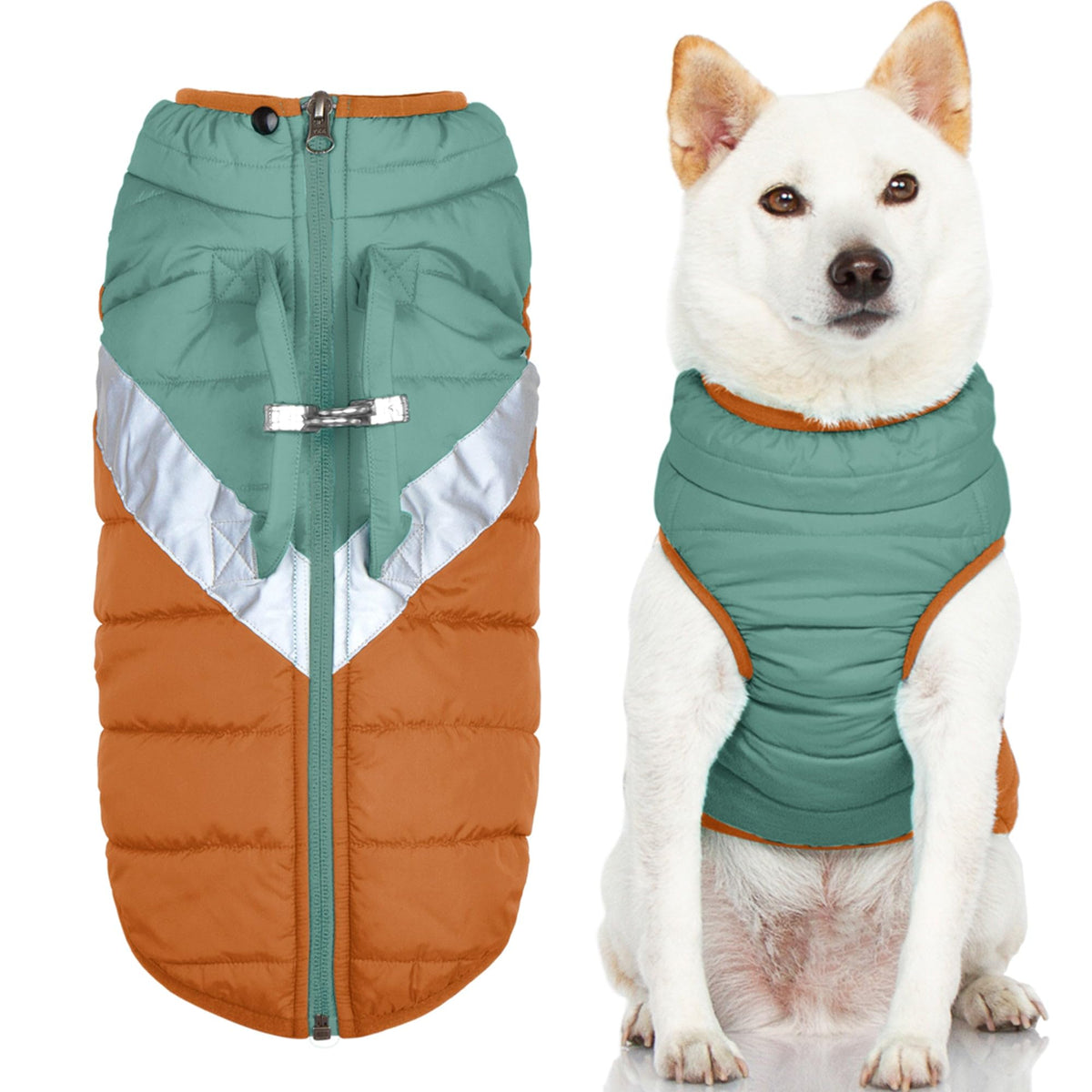 Gooby Mountaineer con asa de tráfico para levantar al perro en situaciones inesperadas