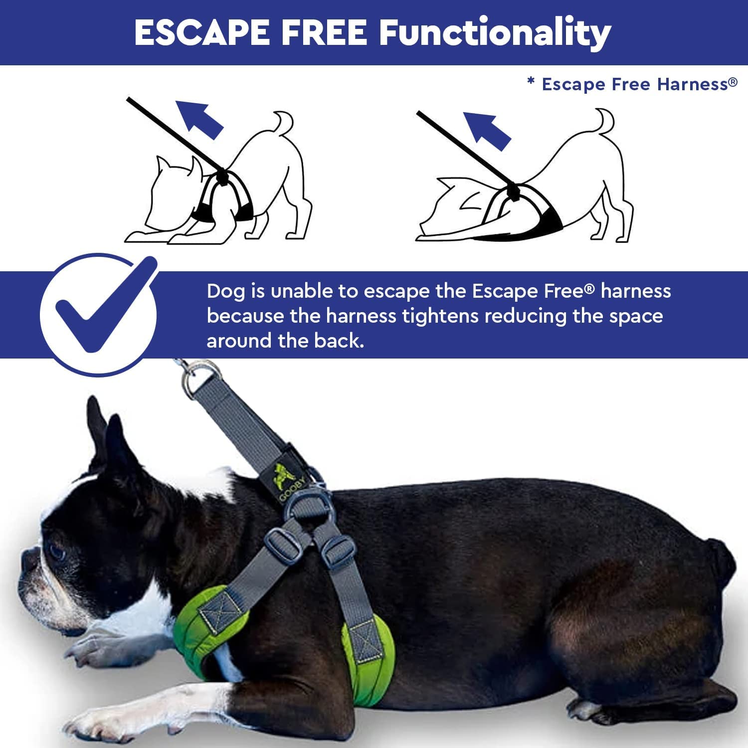 Ideal para perros pequeños a medianos durante paseos diarios.