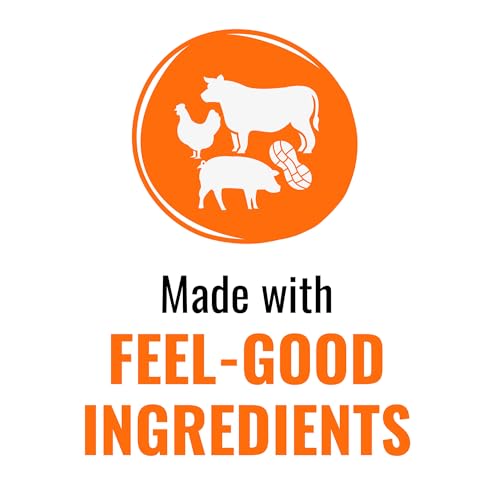 Good 'N' Fun snack premium para perros exigentes y felices