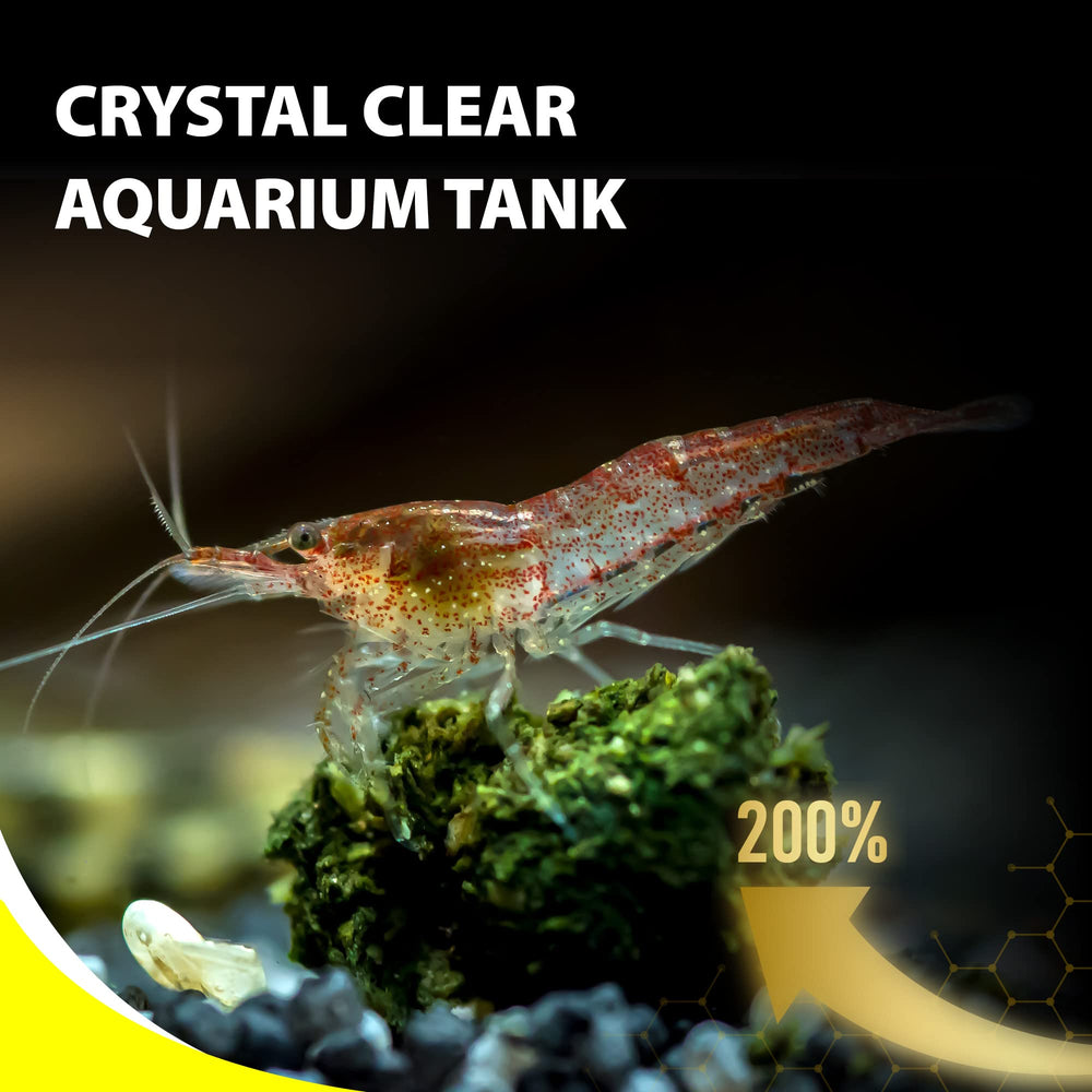 GOOD PARTNER Purify pastillas-plecos-coloracion-viva mejoran apariencia