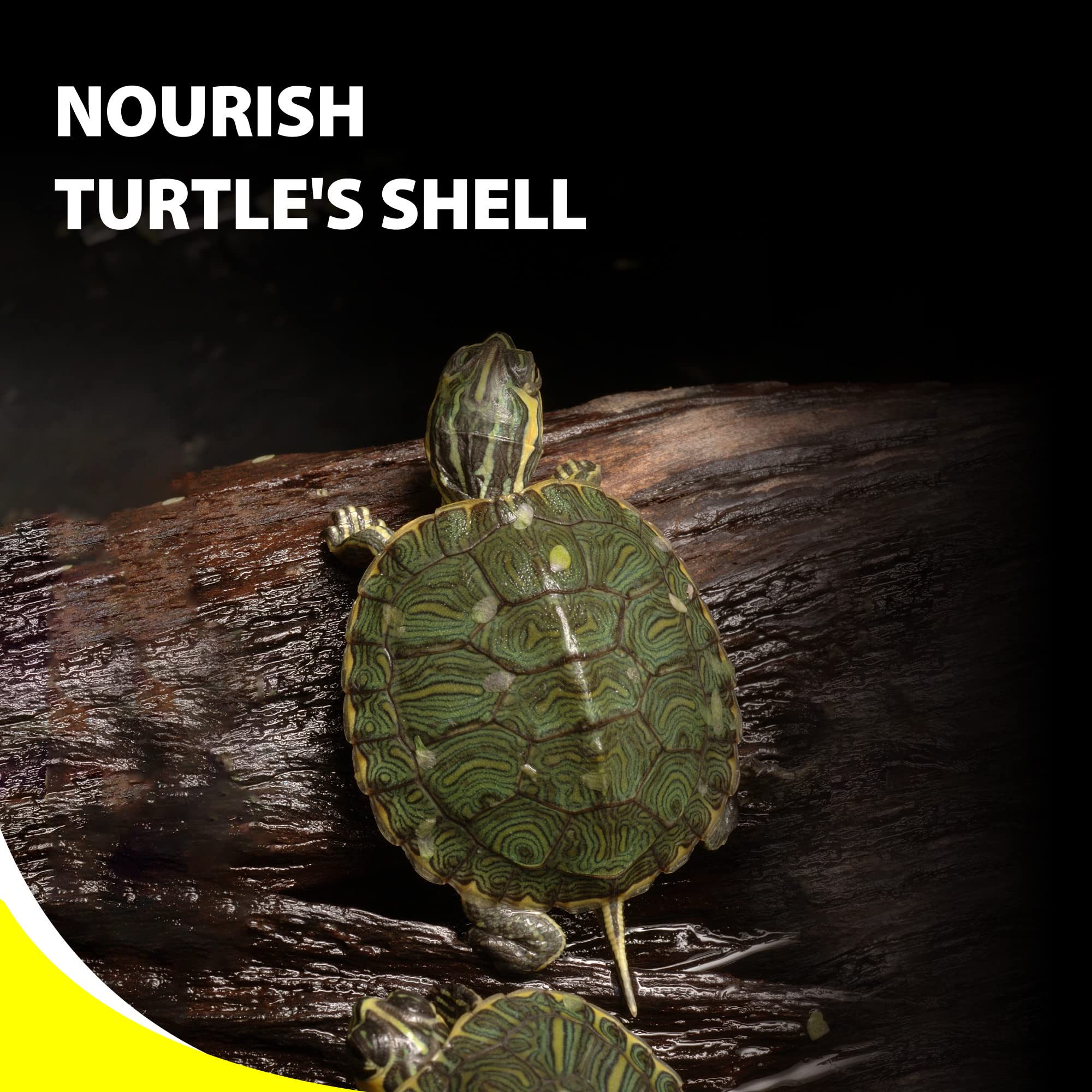 GOOD PARTNER Purify tortuga digestivo sano, apoyo a la digestión y uso de nutrientes.