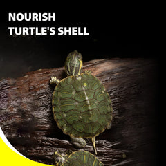 GOOD PARTNER Purify tortuga digestivo sano, apoyo a la digestión y uso de nutrientes.