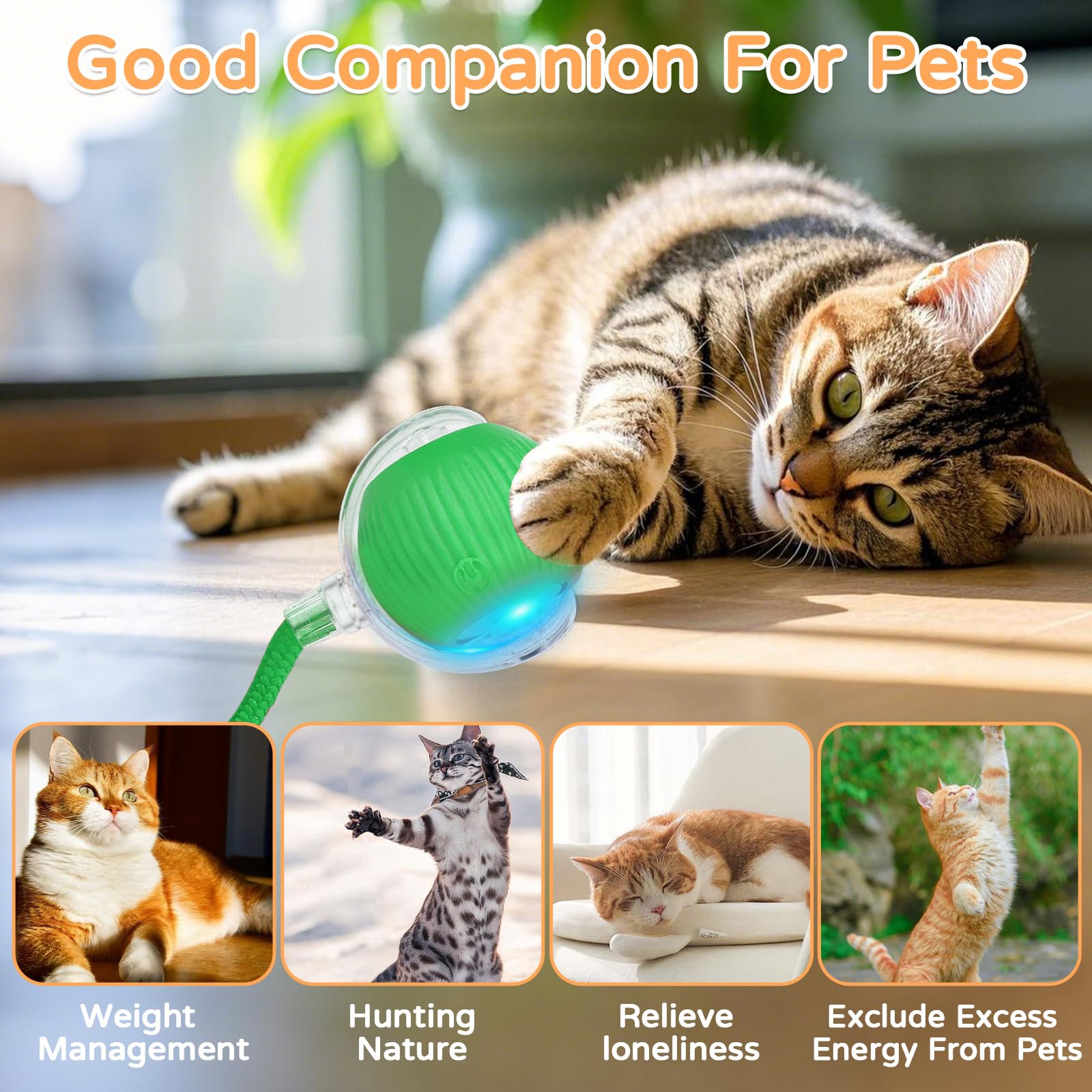 Goosheep pelota para hogares con varios gatos, cada felino tiene su juego.