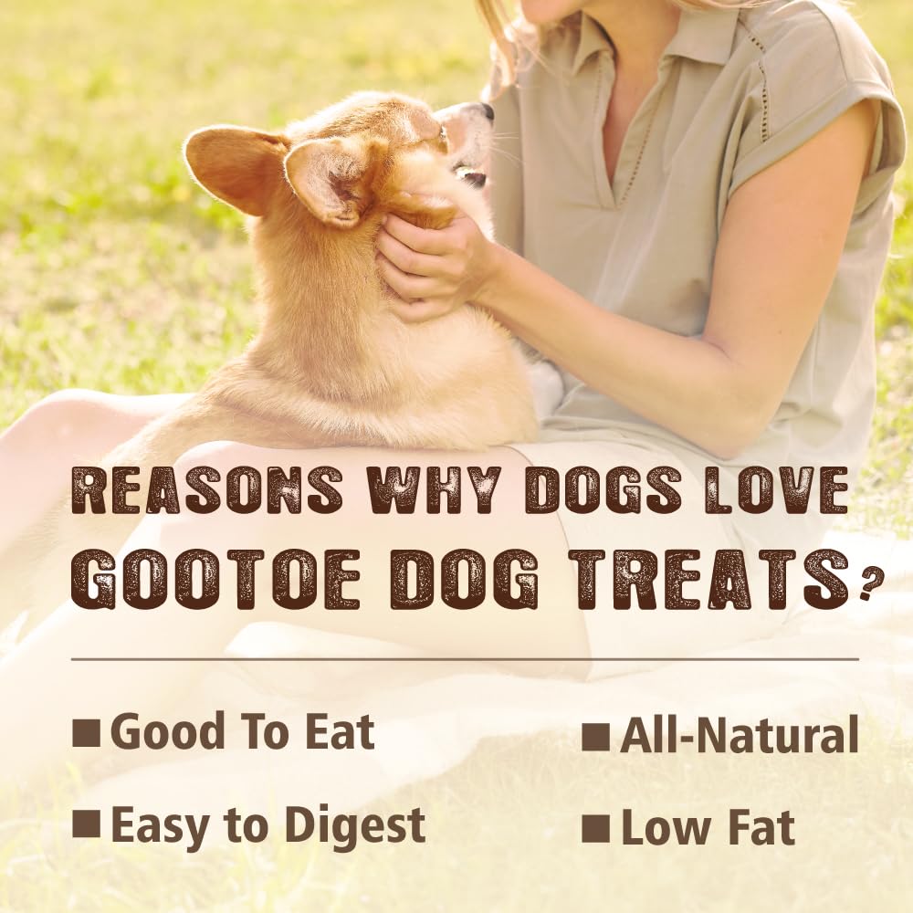 Gootoe premium entrenamiento masticable de pavo, premio diario.